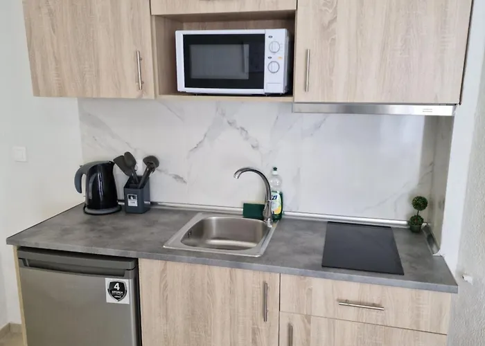 公寓式酒店 Blue Eyes 3*